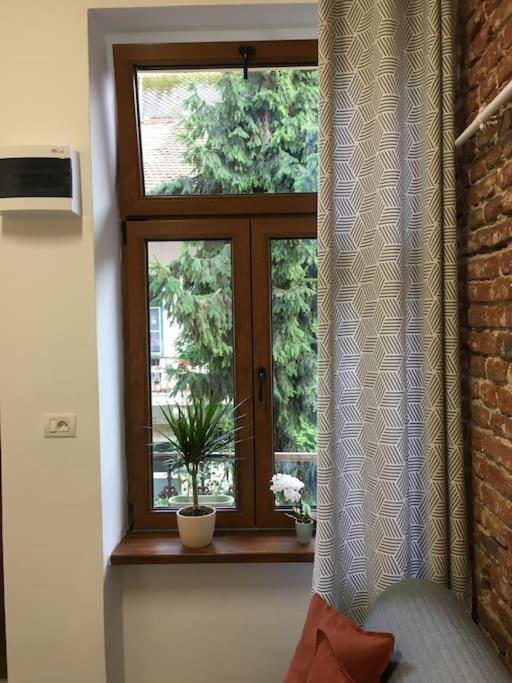 Ferdinand Art Studio Cluj-Napoca Eksteriør bilde